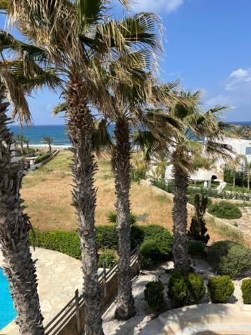 Sky Villa Paphos Eksteriør billede